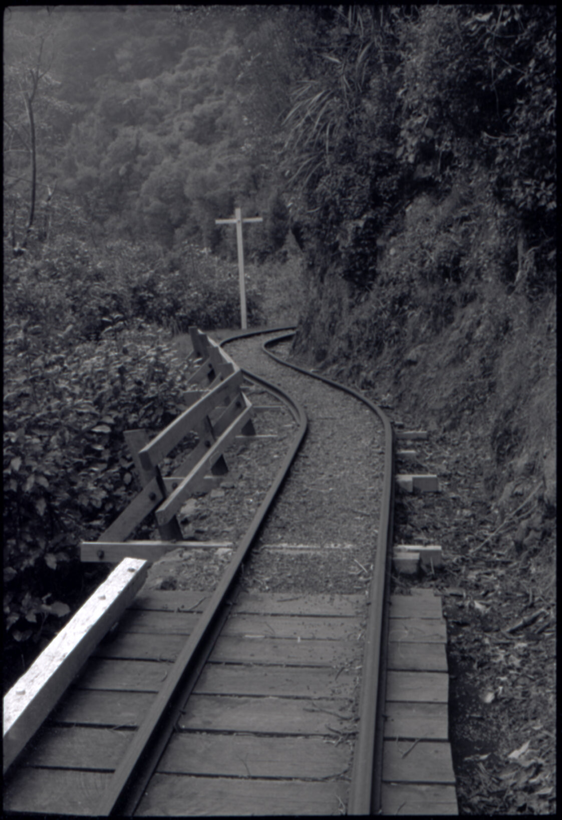 Orongorongo and Wainuiomata water catchment area, track to transport pipes