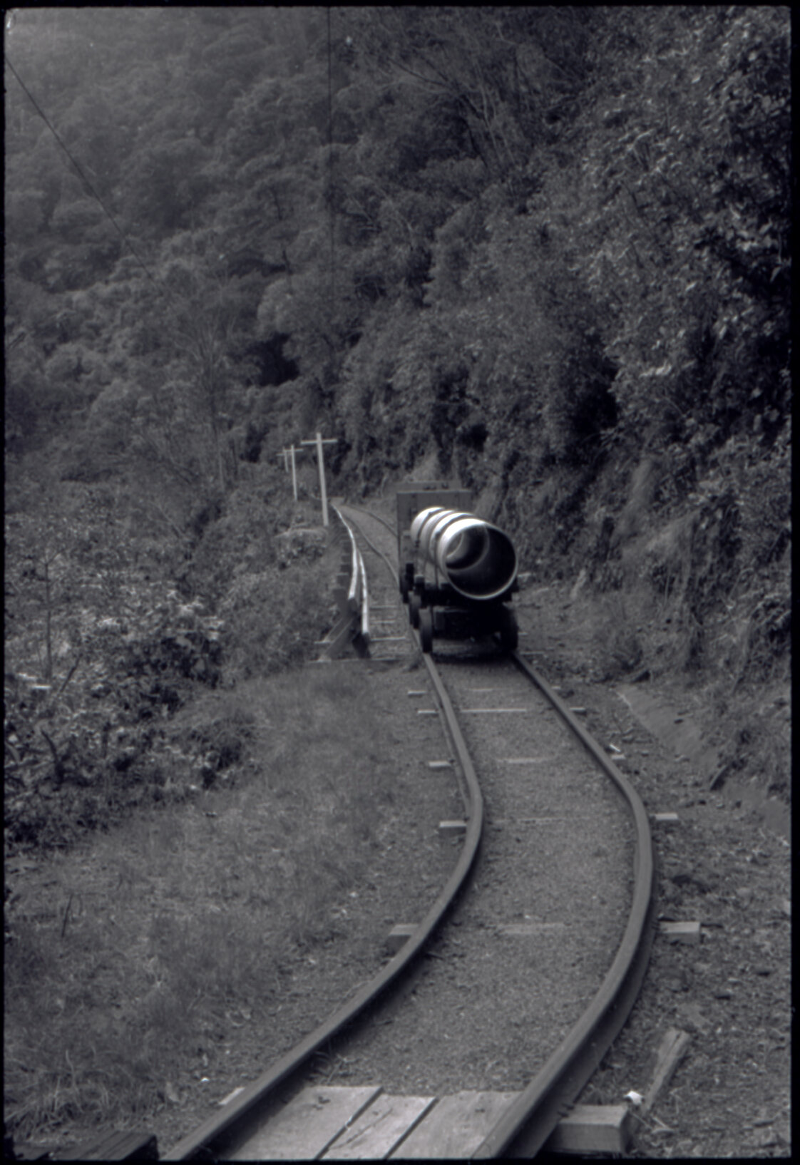 Orongorongo and Wainuiomata water catchment area, pipe on a track