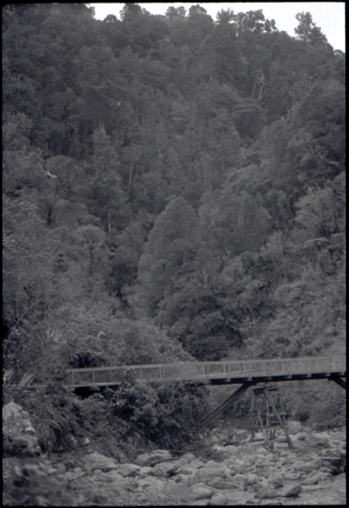 Orongorongo and Wainuiomata water catchment area, bridge over river