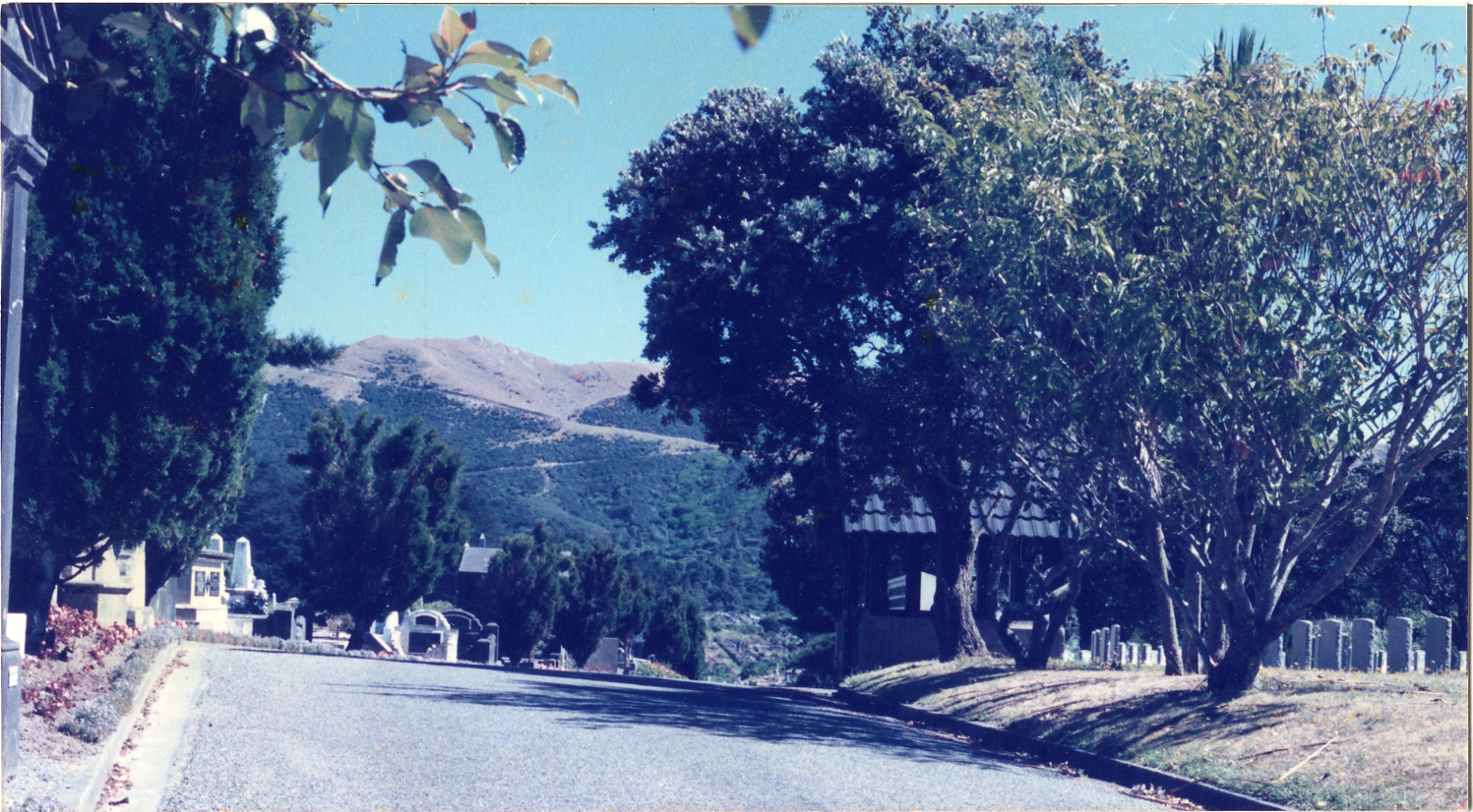 Karori Cemetery, Main drive at start of A-LP1, 25 January 1989
