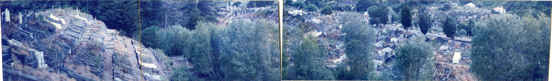 Karori Cemetery, Panorama, left to right - GC2, F-C2 (note willows in stream), 17 January 1989