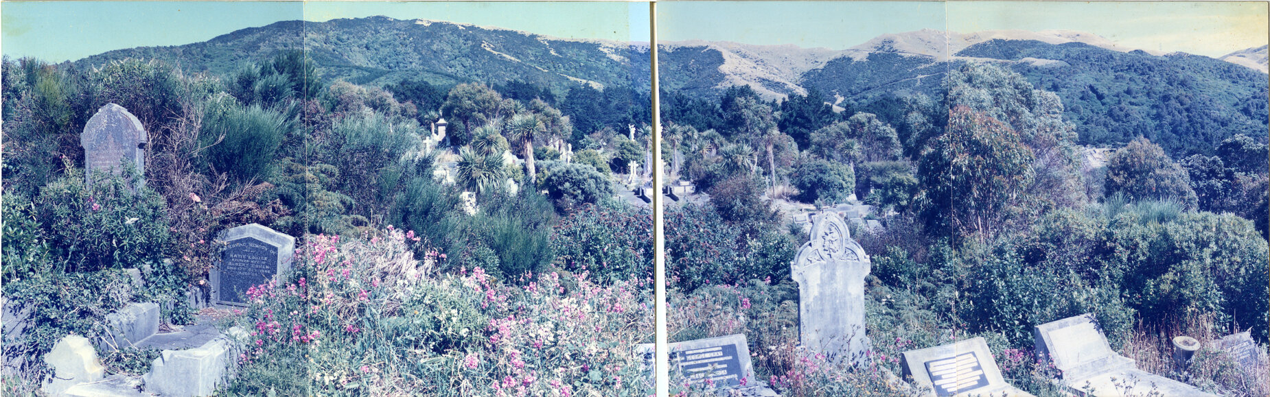 Karori Cemetery, Panorama, AK-WC1 looking northwest, 17 January 1989