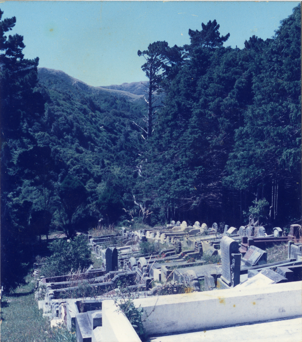 Karori Cemetery, ZR looking north, 17 January 1989