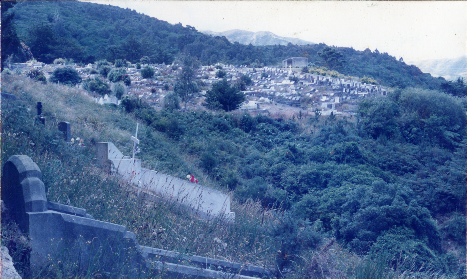 Karori Cemetery, Peter Fraser from KC2 (HP3), 11 January 1989