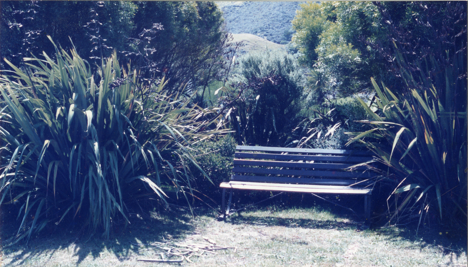 Karori Cemetery, Seat in JC2, 11 January 1989