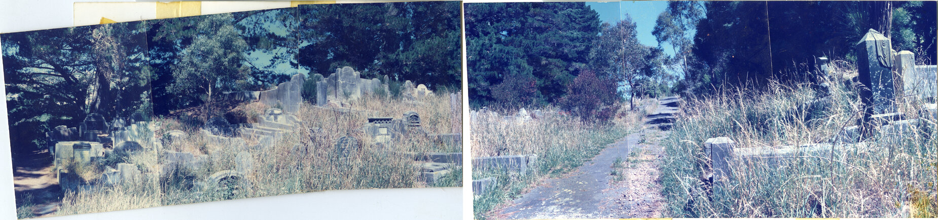 Karori Cemetery, Panorama of Main path from Turners to Kershaws in WH-NP2, 17 January 1989