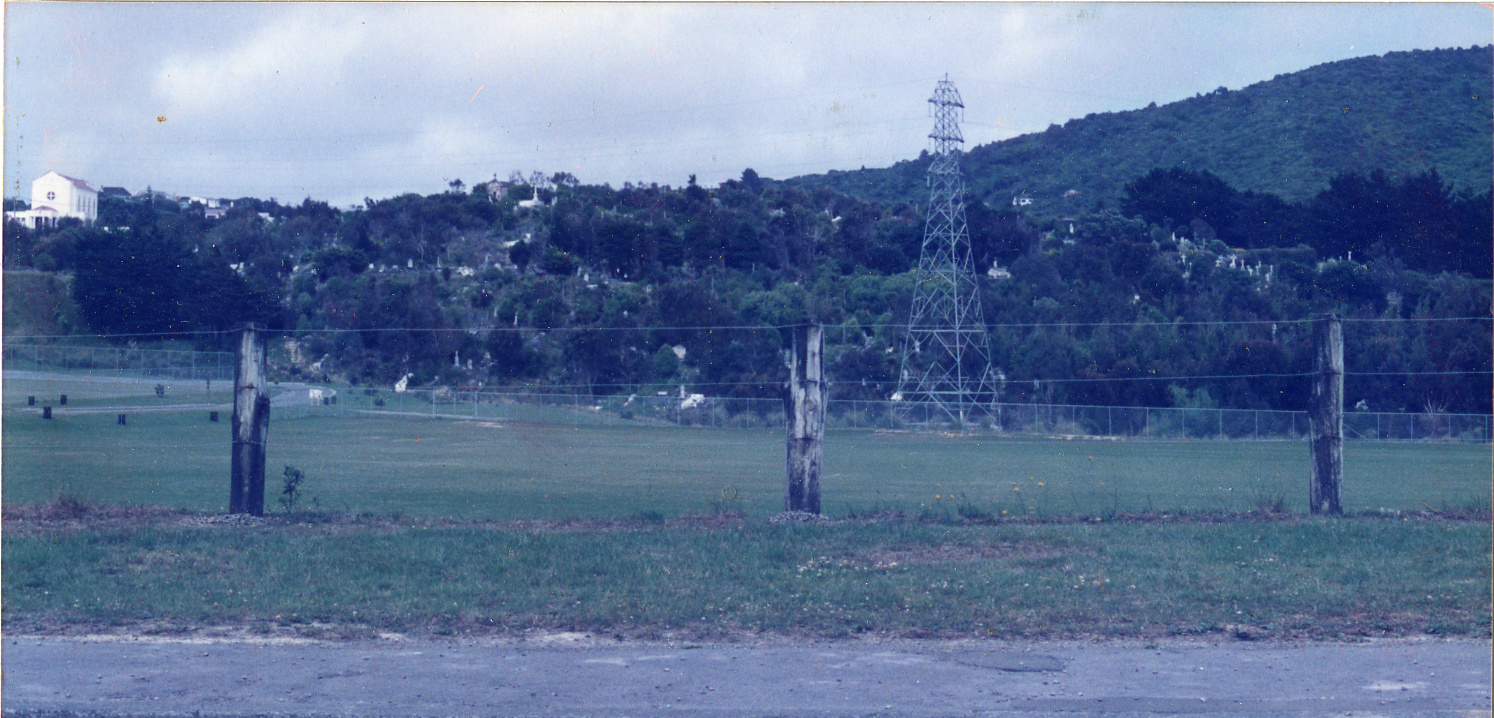 Karori Cemetery, Crematorium and new gum plantings as seen from Curtis Street, 14 December 1988