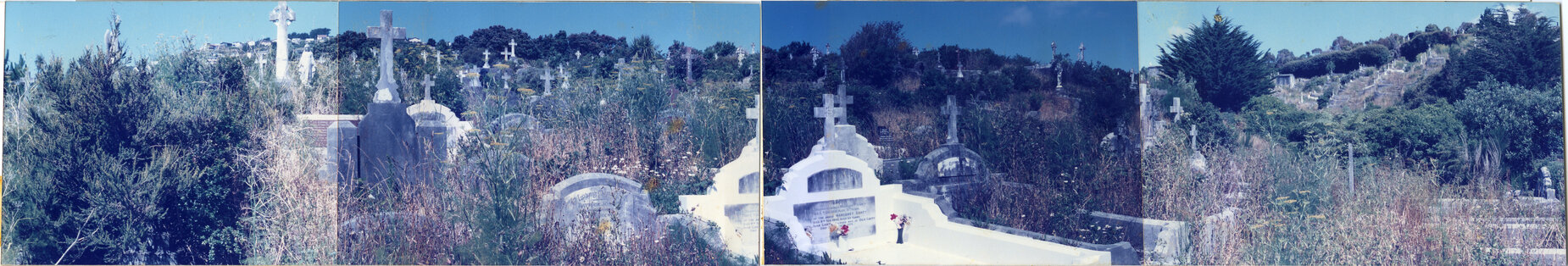 Karori Cemetery, Panorama, AP-WR, 17 January 1989