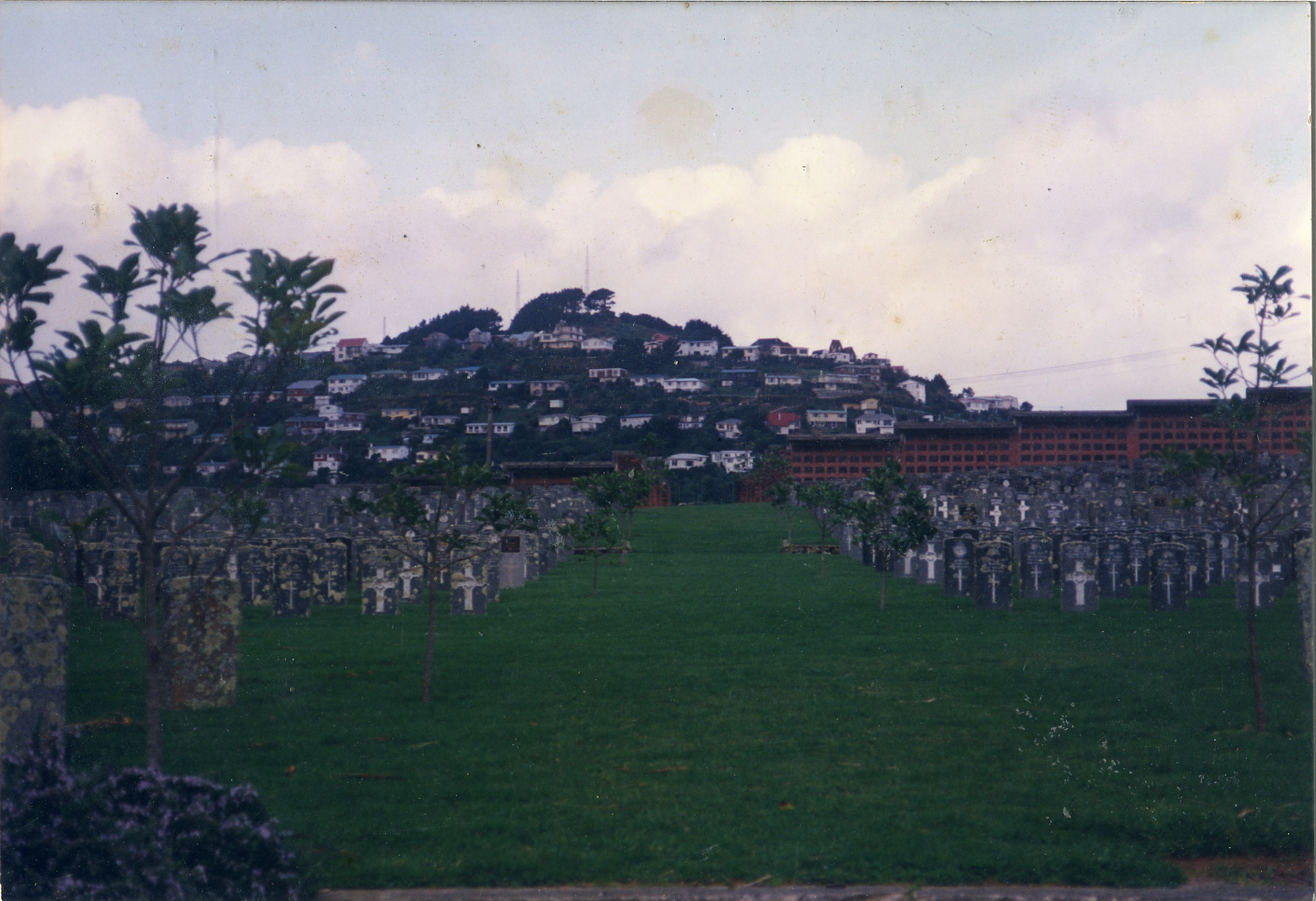 Karori Cemetery, Towards Northland, 1991