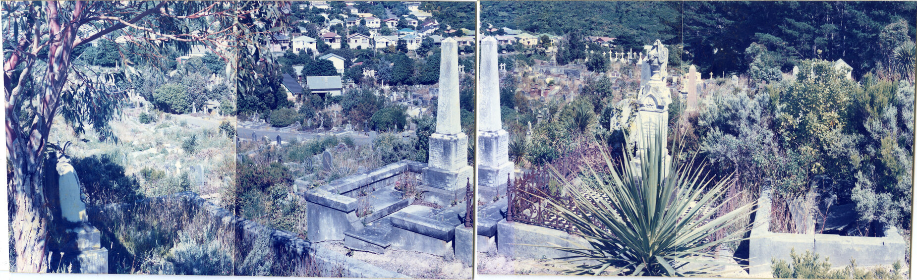 Karori Cemetery, Panorama, looking A-JC1 towards A-OR, 17 January 1989