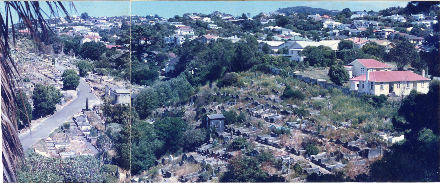 Karori Cemetery, Towards AEC2, 17 January 1989