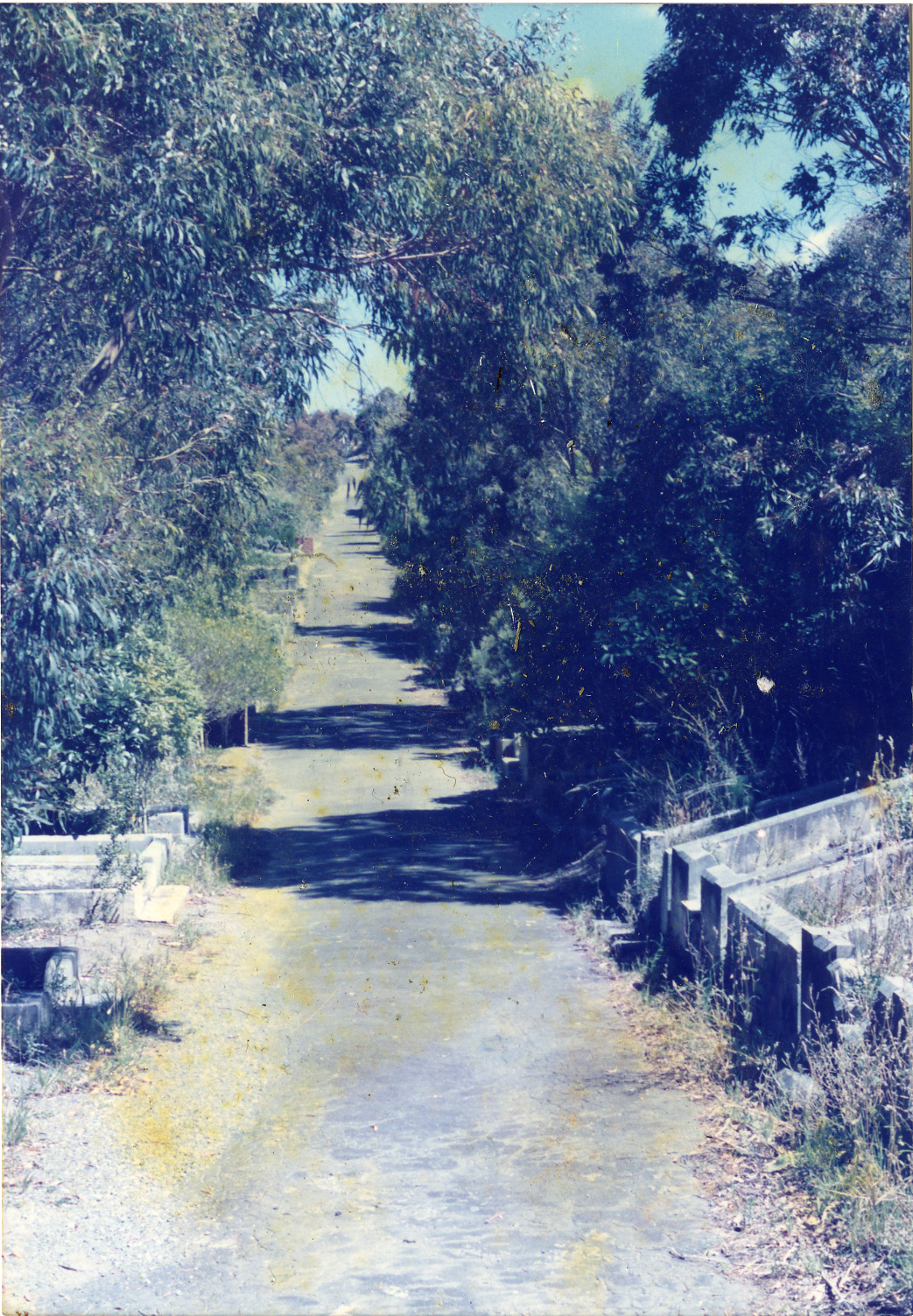 Karori Cemetery, Main path from Turners to Kershaws in WH-NP2, 17 January 1989
