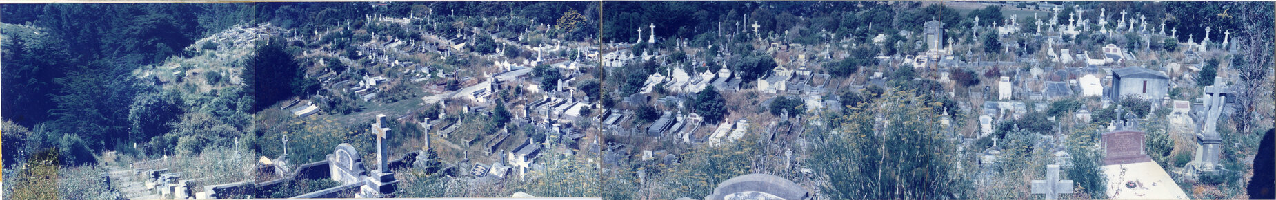 Karori Cemetery, Panorama, AP-XR and AP-WR, ZR in distance, 17 January 1989
