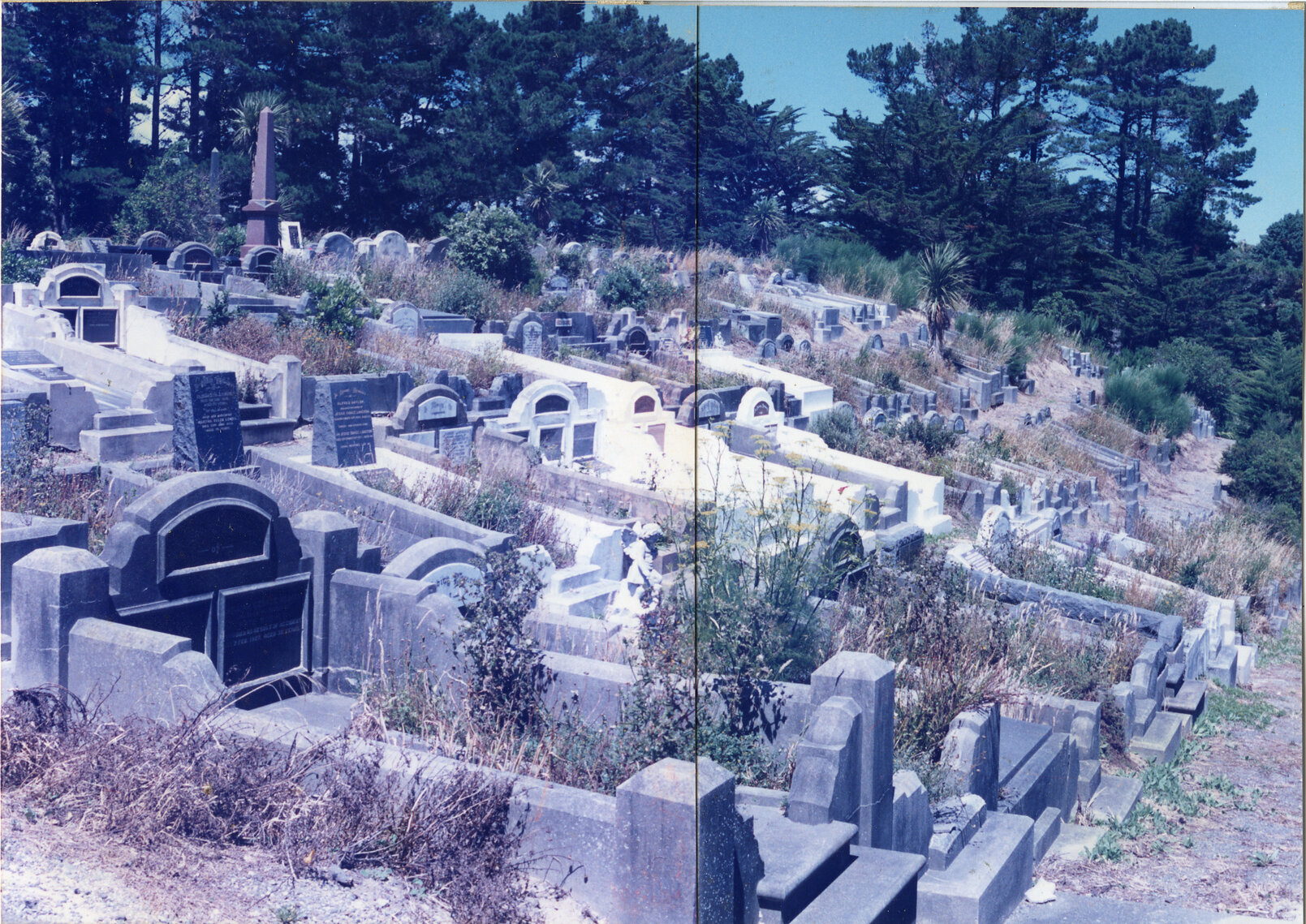 Karori Cemetery, HC2, 11 January 1989