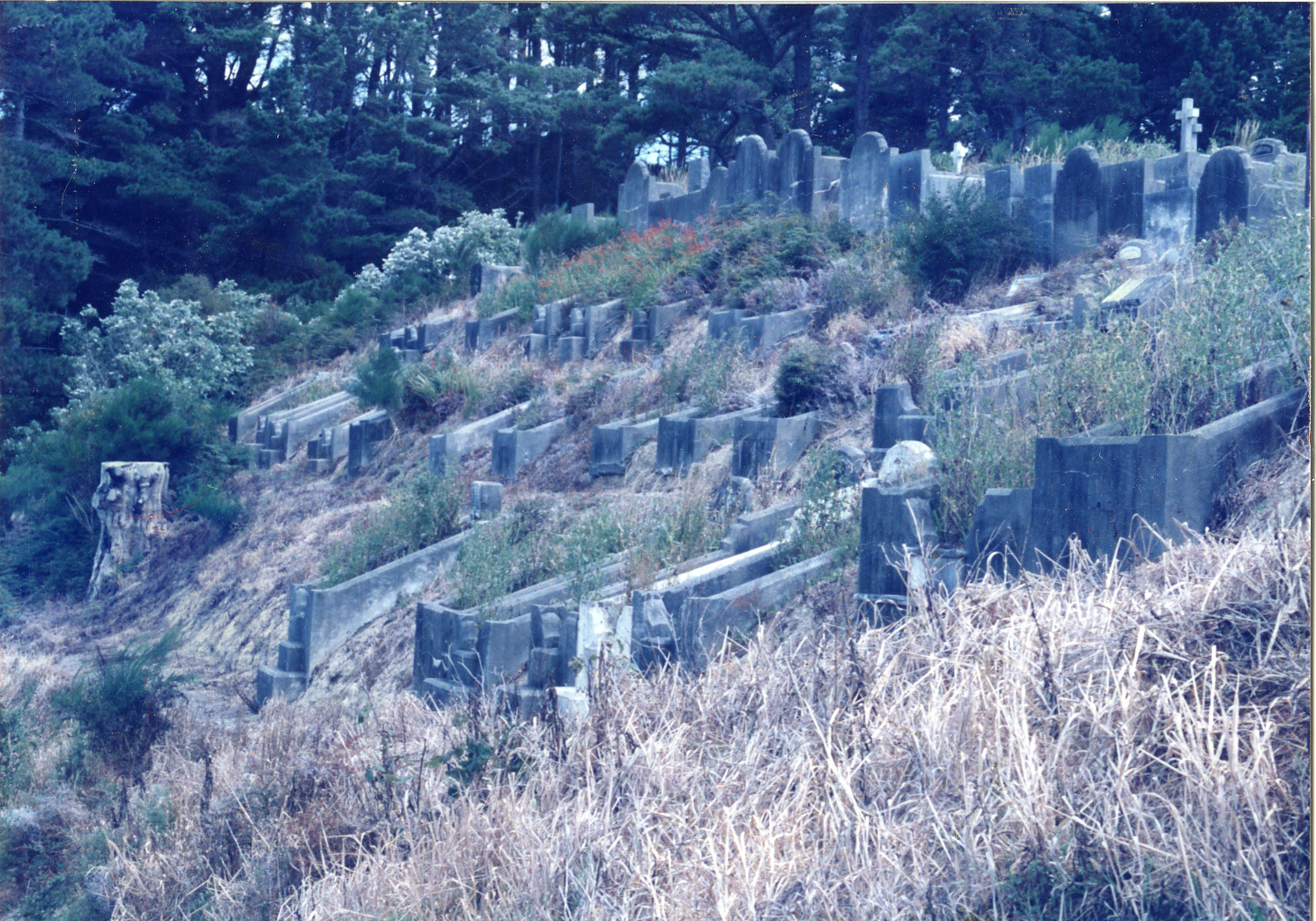 Karori Cemetery, Greek Valley, GG-C2, 11 January 1989