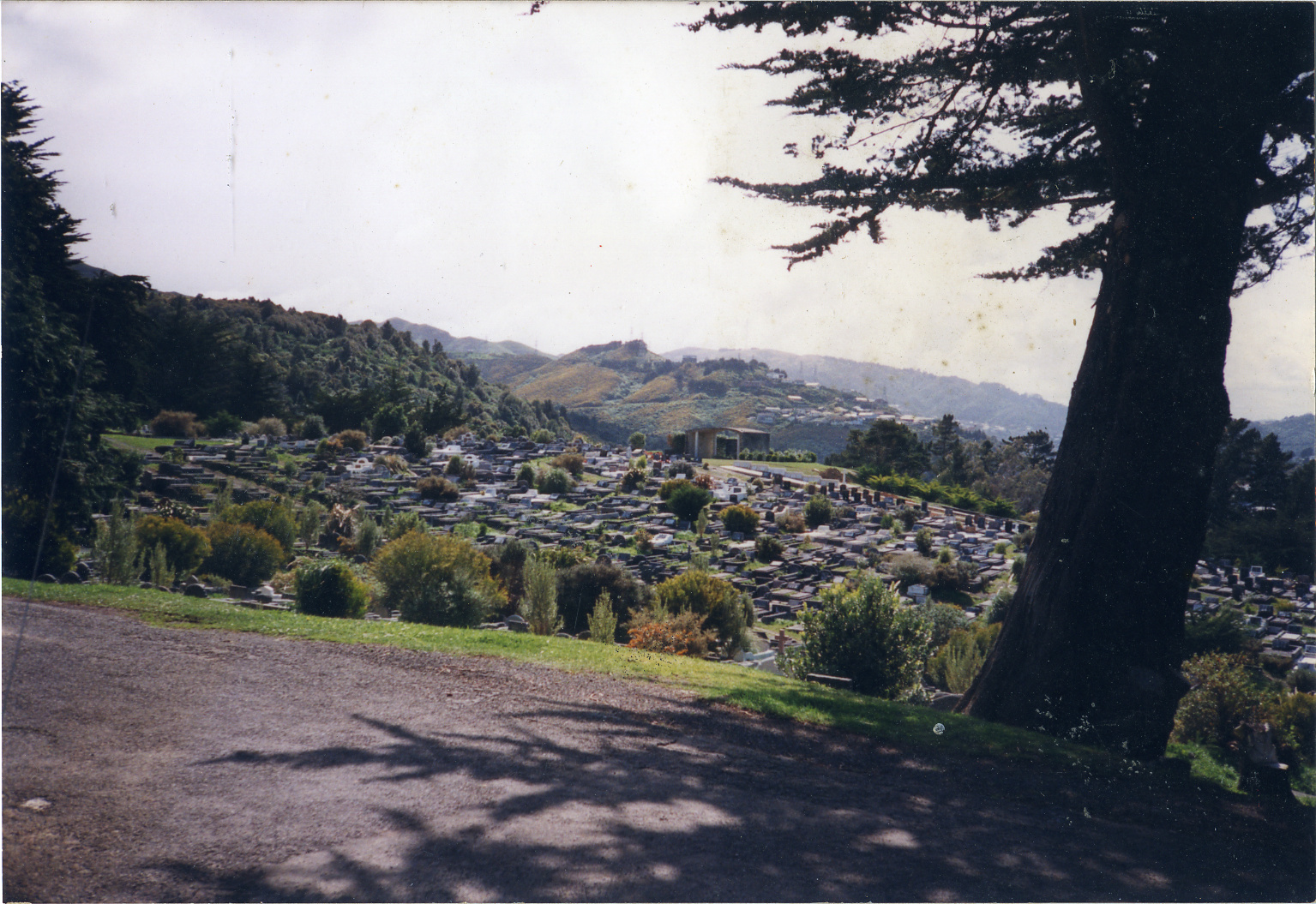 Karori Cemetery, FP3 and HP3