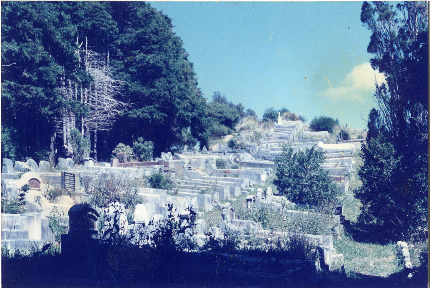 Karori Cemetery, ZR, 17 January 1989