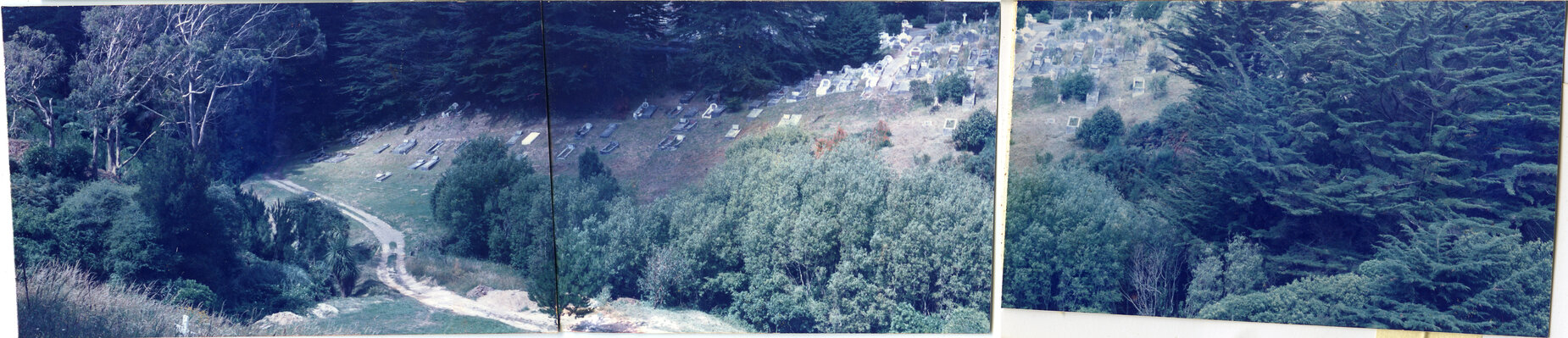 Karori Cemetery, Greek Valley, across valley to WR (note stream course), 11 January 1989