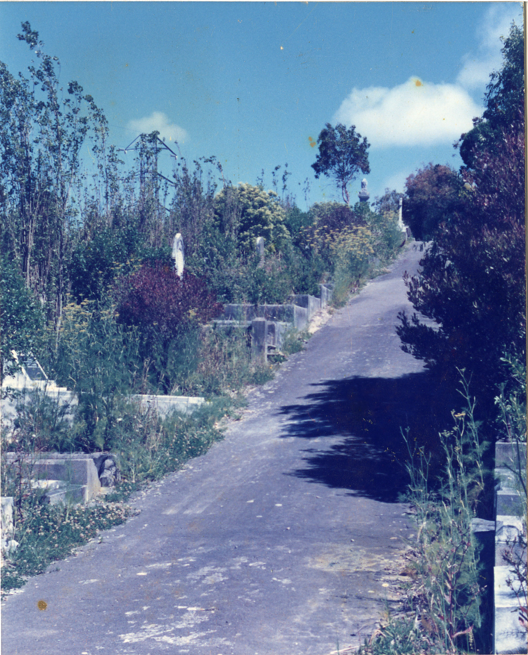 Karori Cemetery, From Lodders looking south (AGP2), 17 January 1989