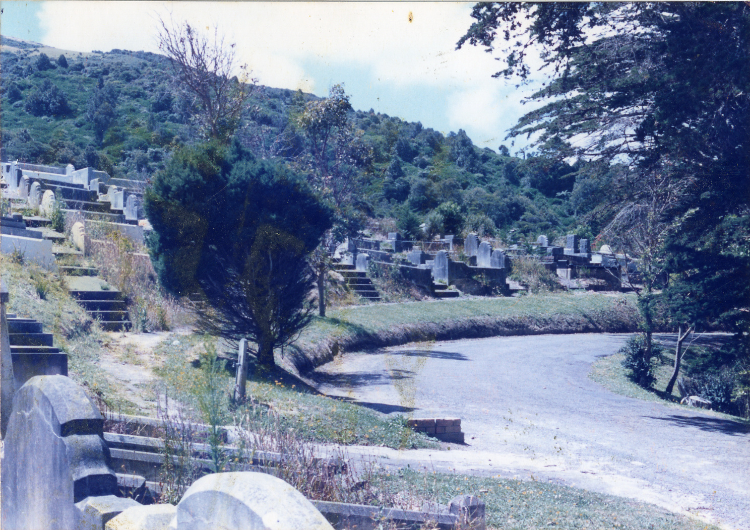 Karori Cemetery, Towards MC2, 11 January 1989