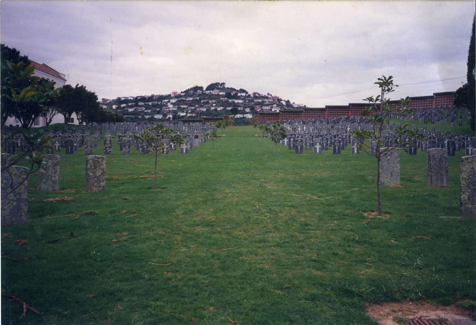 Karori Cemetery, Towards Northland, 1991
