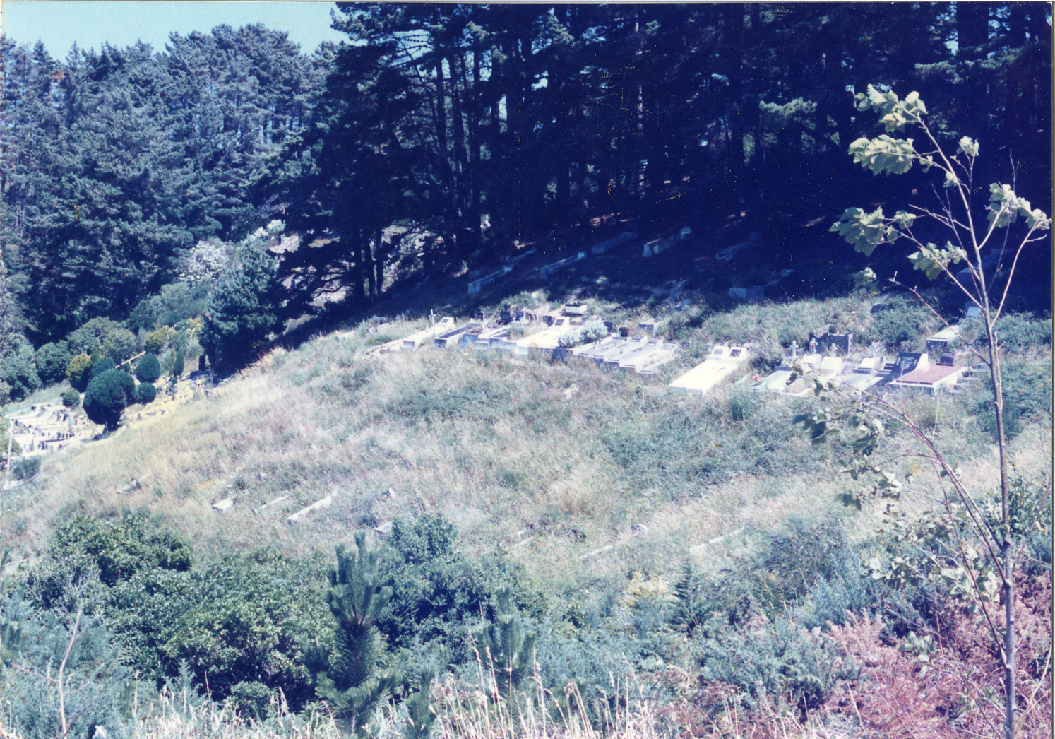Karori Cemetery, Russian orthodox graves, 11 January 1989