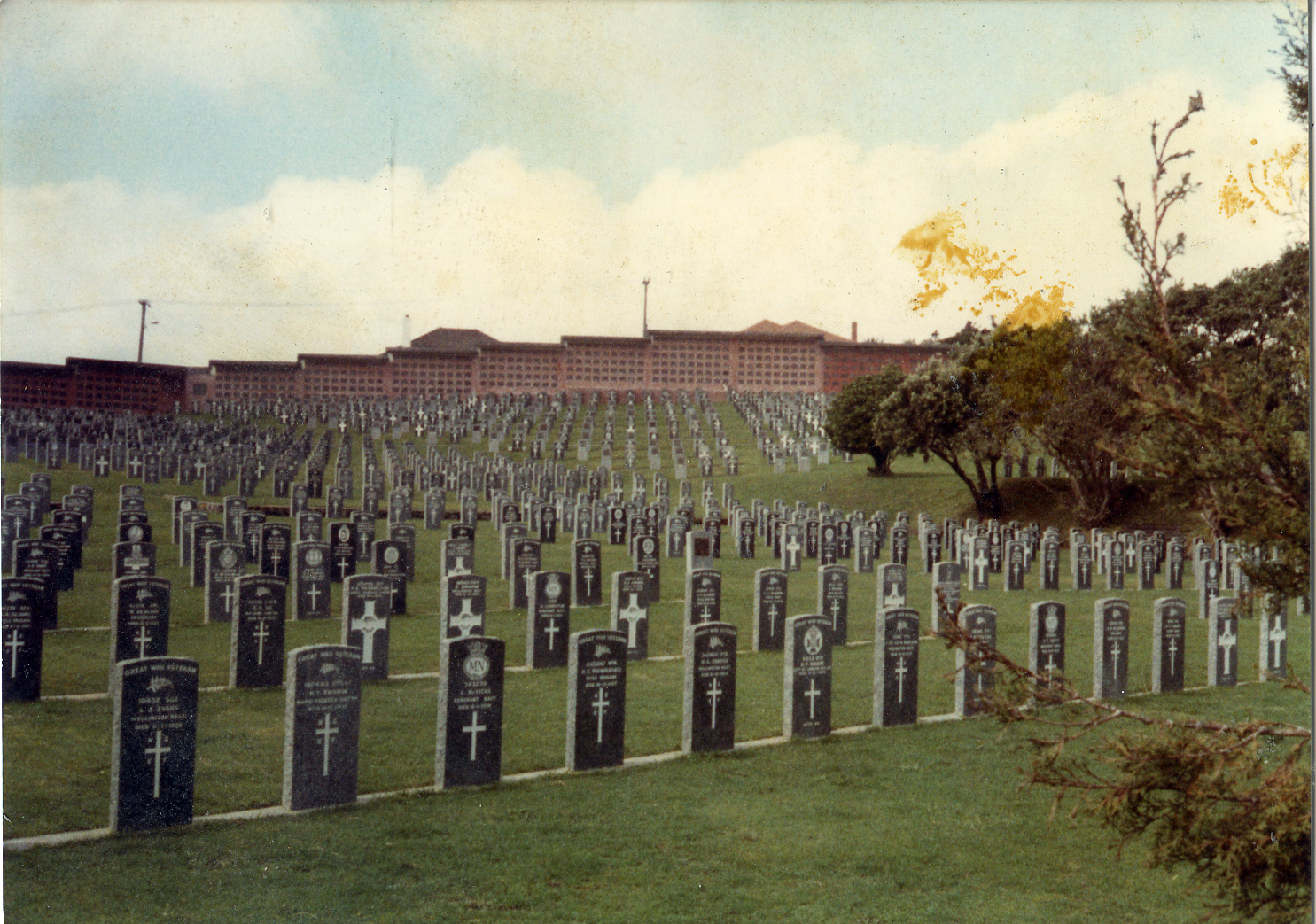 Karori Cemetery, Main drive and rose garden redevelopment, 1991