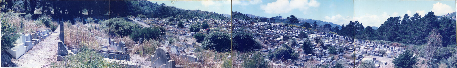 Karori Cemetery, Panorama of Peter Fraser from FP3, 11 January 1989