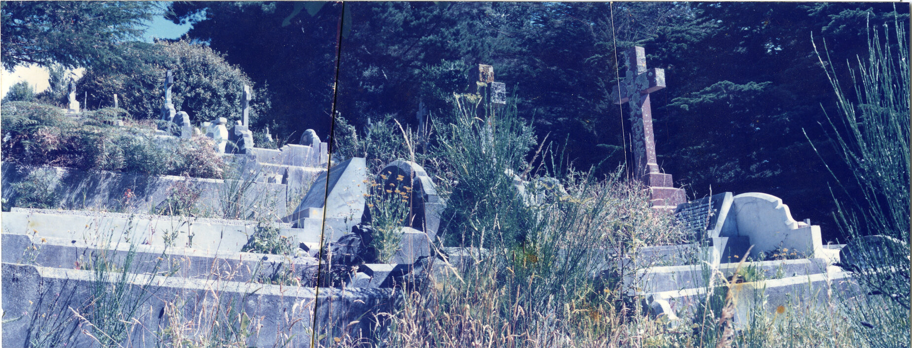 Karori Cemetery, YR, 17 January 1989