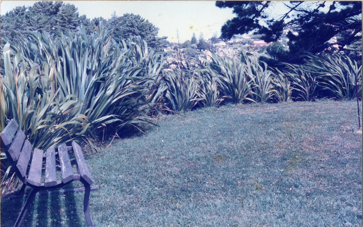 Karori Cemetery, Seat in IC2, 11 January 1989