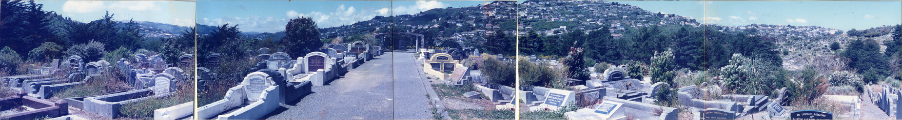 Karori Cemetery, Panorama showing road to the Peter Fraser memorial and surrounds, 11 January 1989