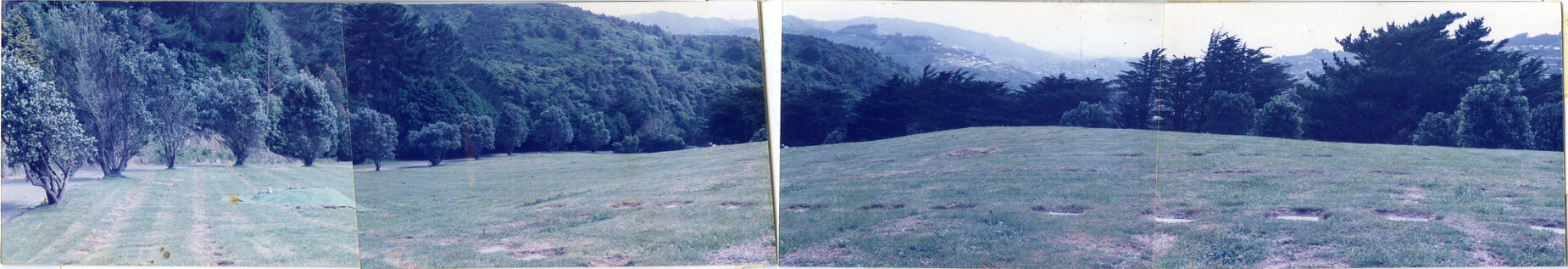 Karori Cemetery, Panorama Lawn Cemetery looking North, 14 December 1988