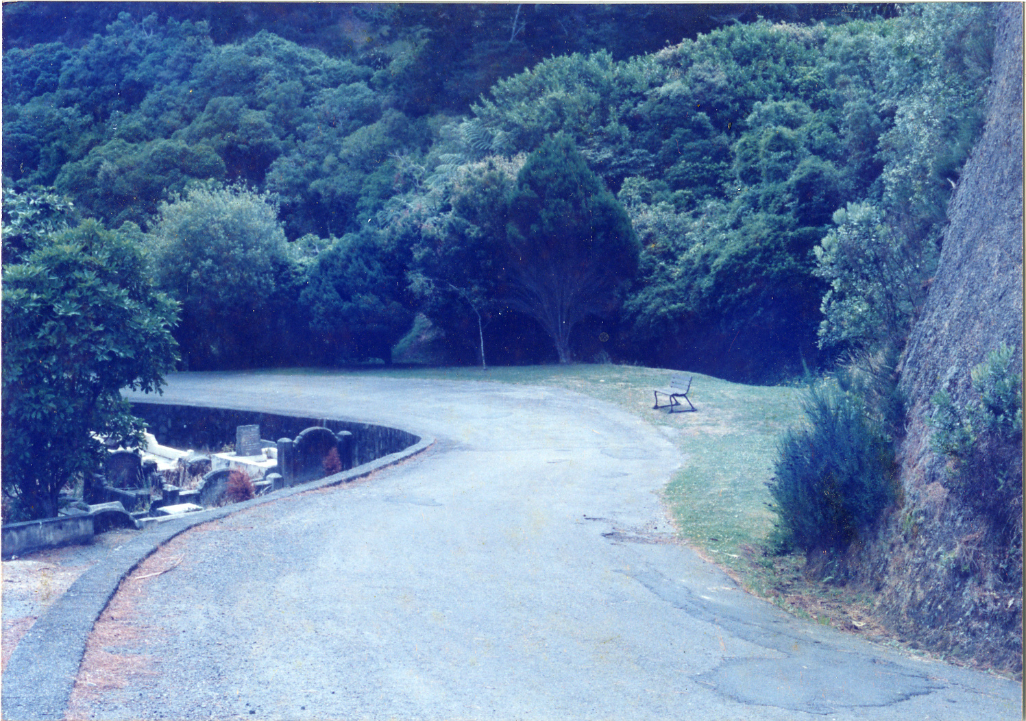 Karori Cemetery, Seat on the Big Bend (next to GC2), 17 January 1989