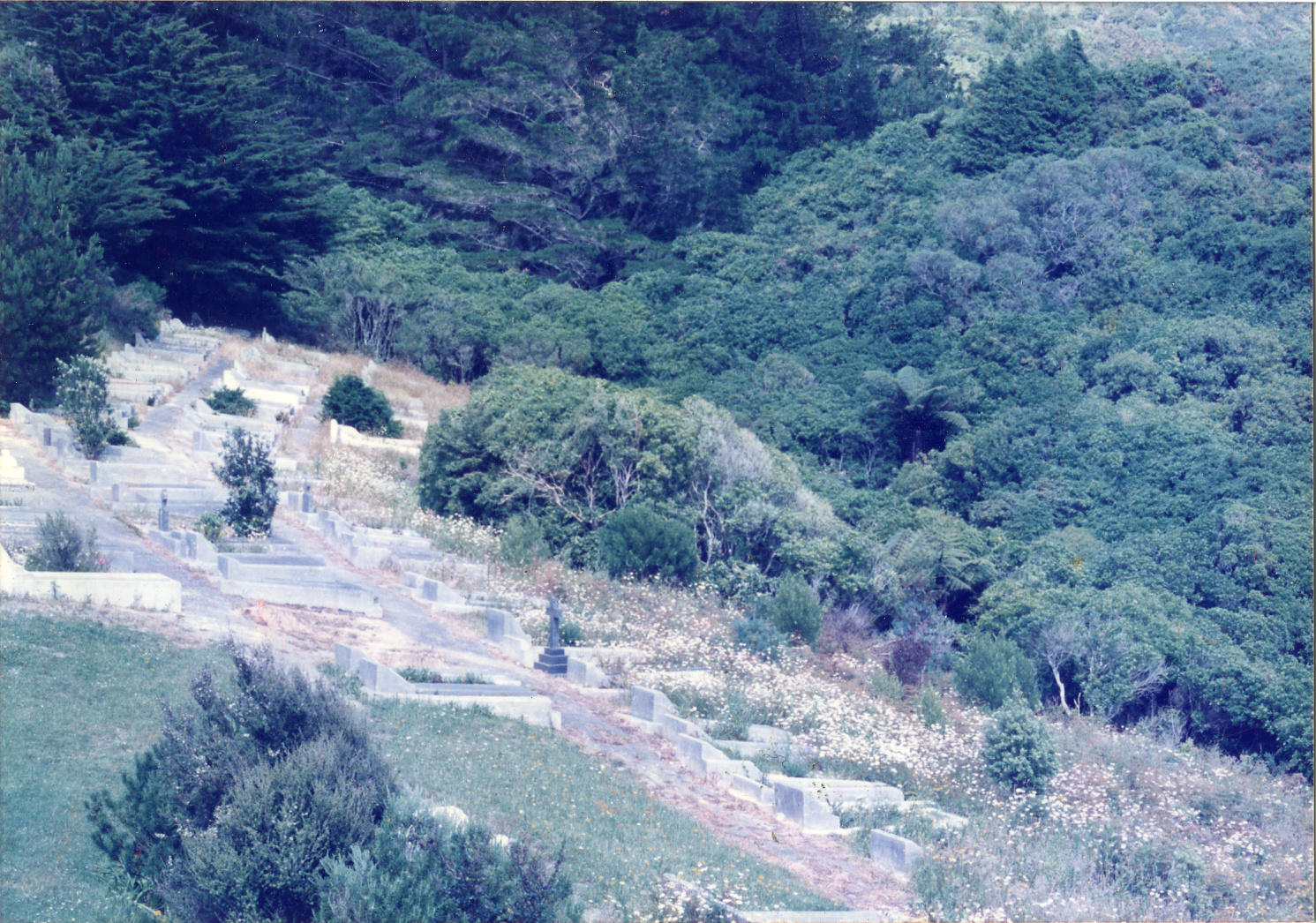 Karori Cemetery, BR2 and bush beyond, 14 December 1988