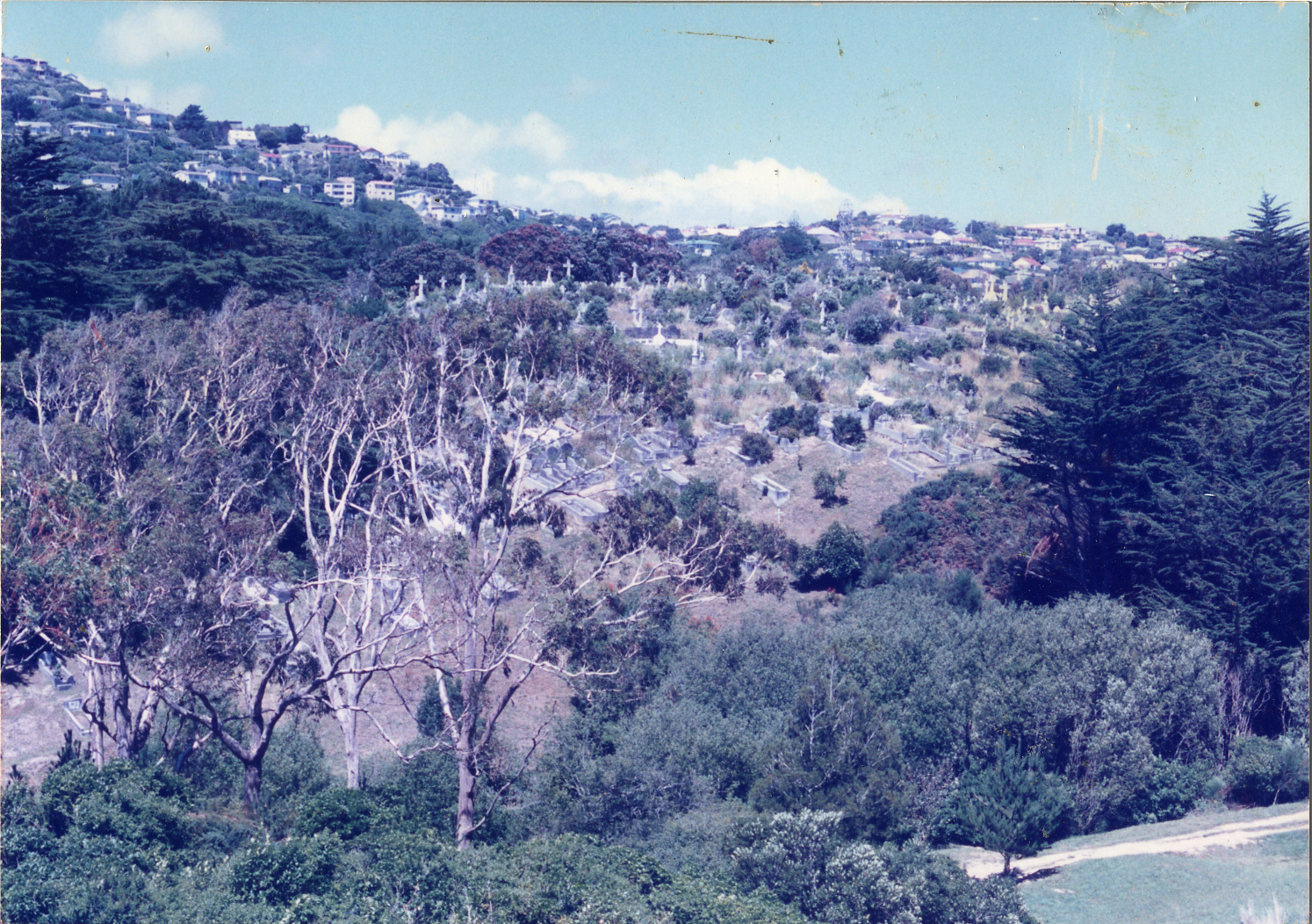Karori Cemetery, Greek Valley, across valley to AP-XR and AP-WR, 11 January 1989