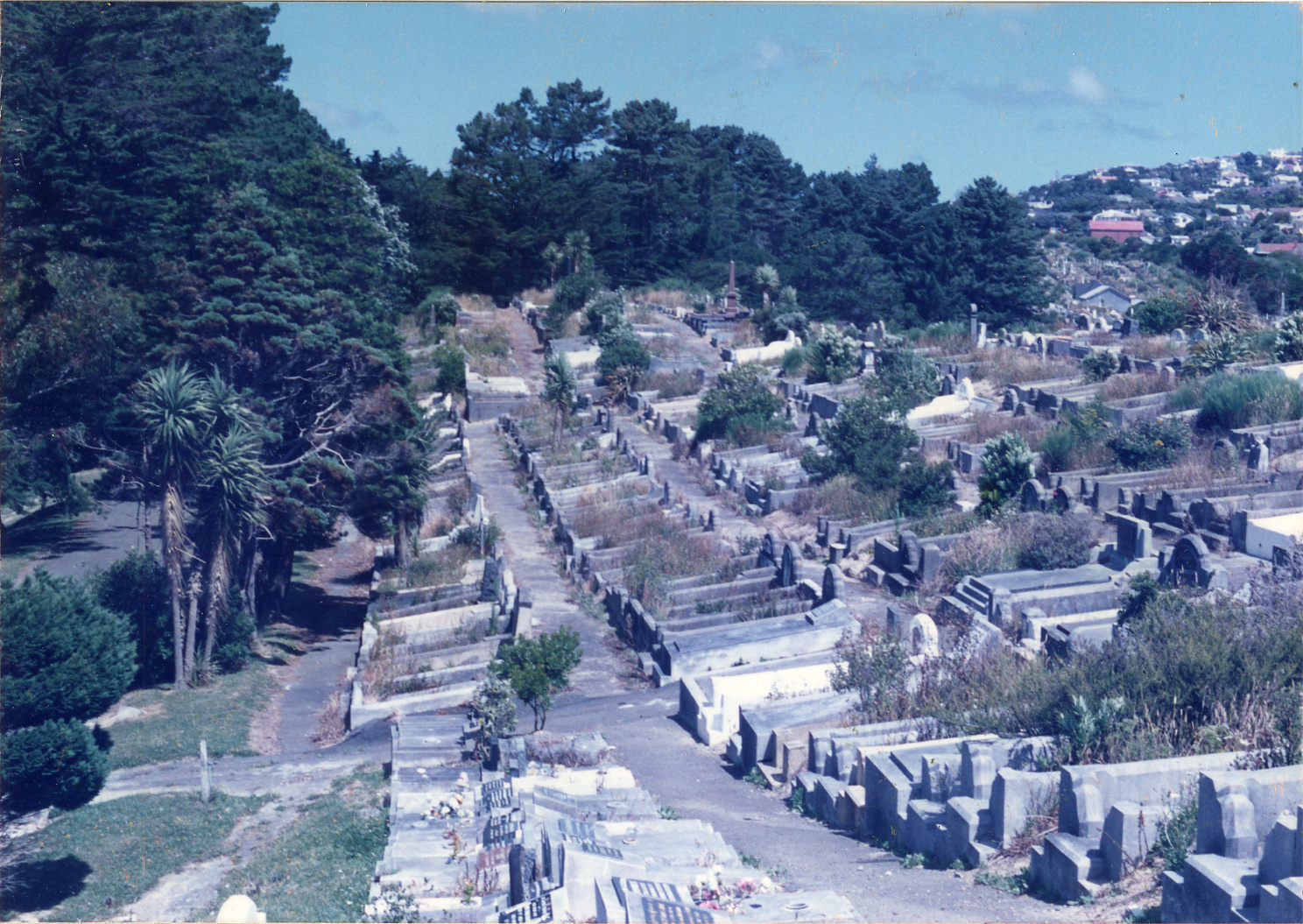 Karori Cemetery, Looking from MC2 to HC2, 11 January 1989