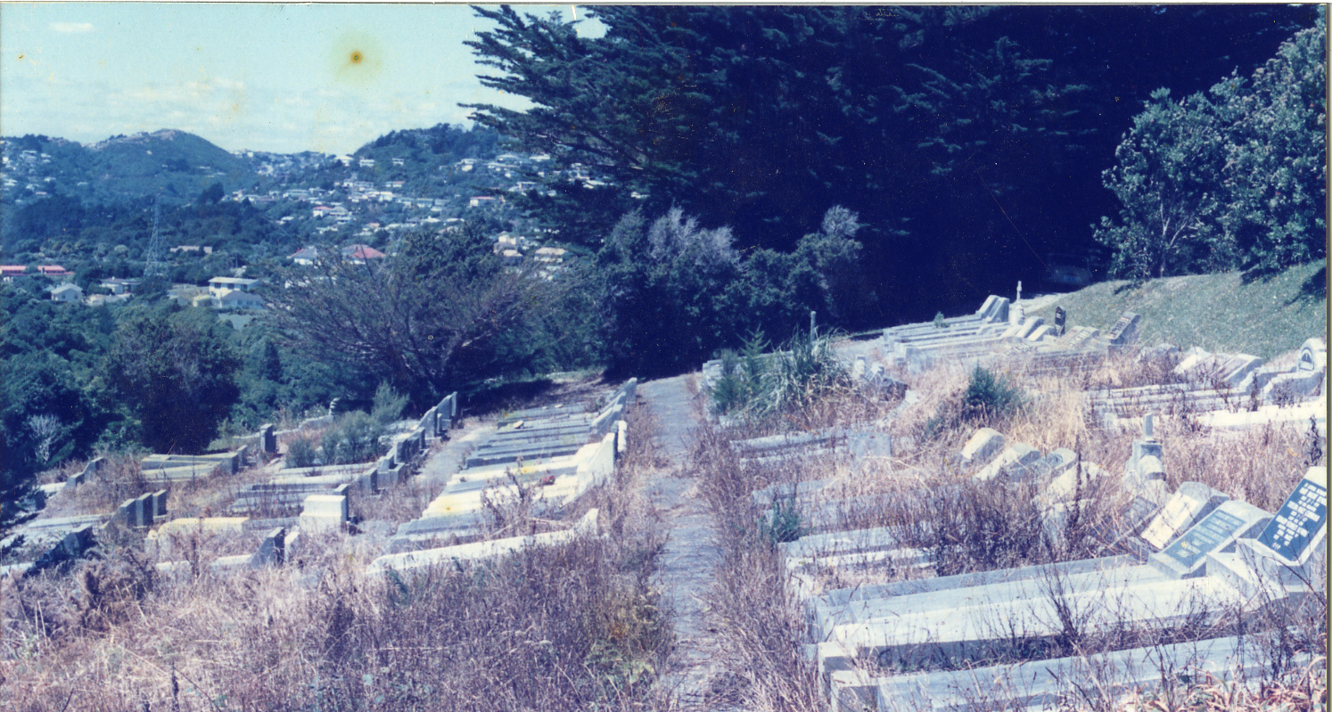 Karori Cemetery, Heavy spraying in BR2, 17 January 1989