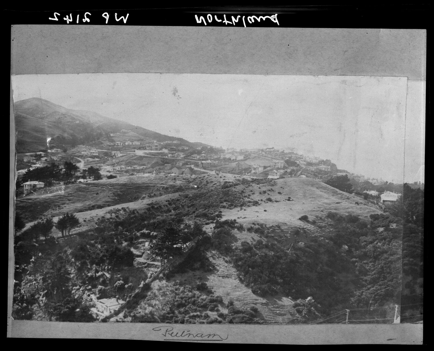 Land Purchase for housing purposes, Northland