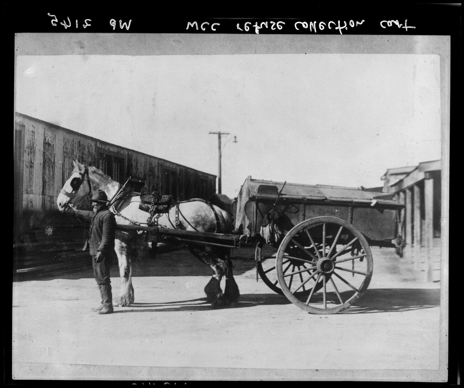Wellington City Council refuse collection carts