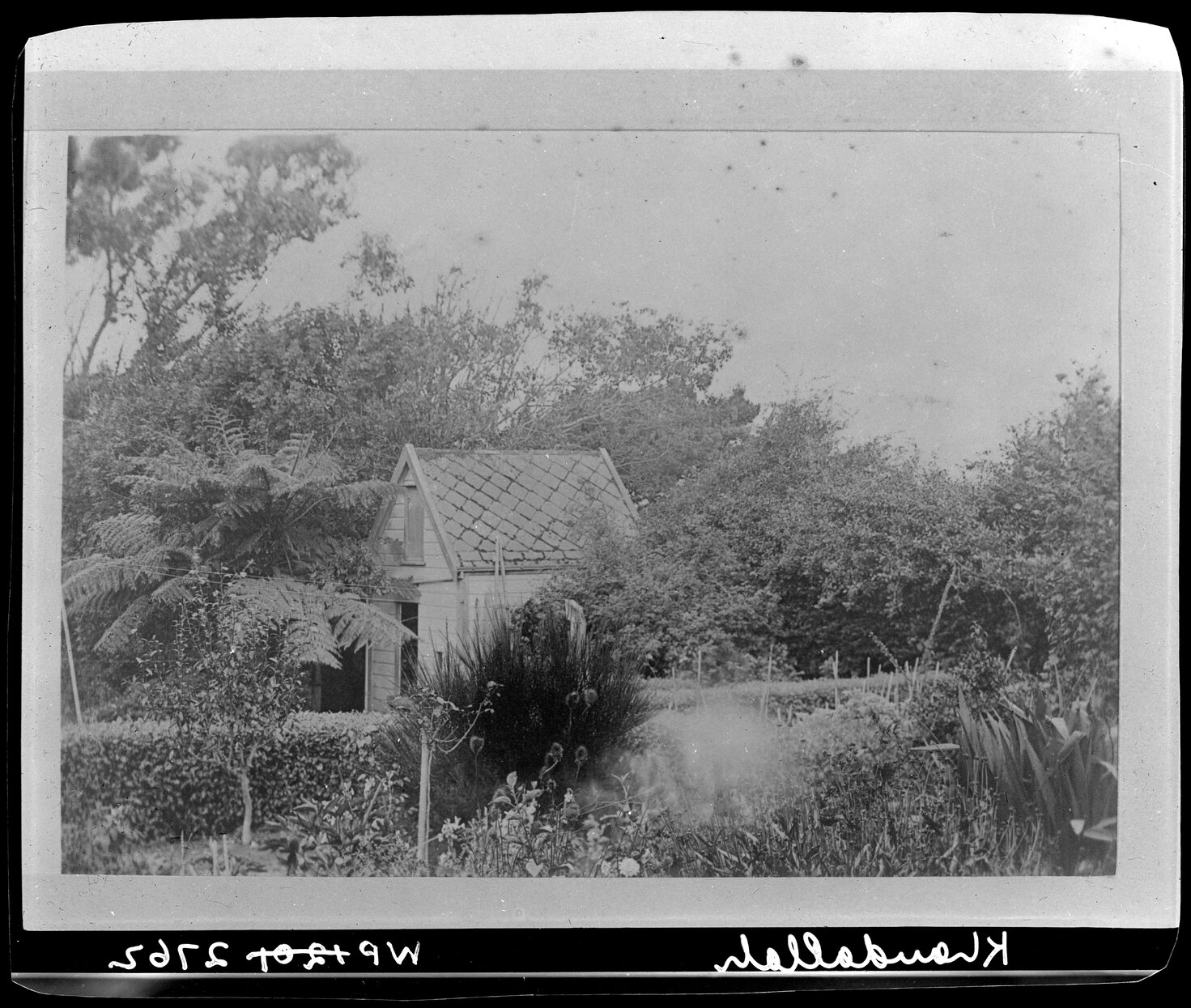 Summer house in garden, Khandallah