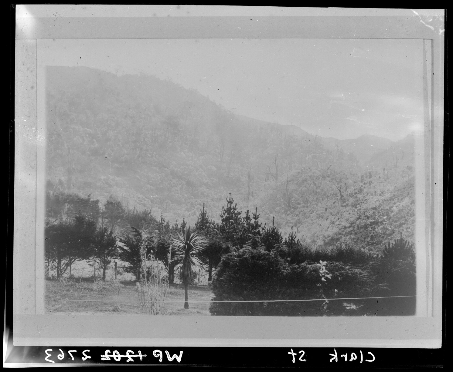 Clark Street, Khandallah - view from Crompton-Smith garden.