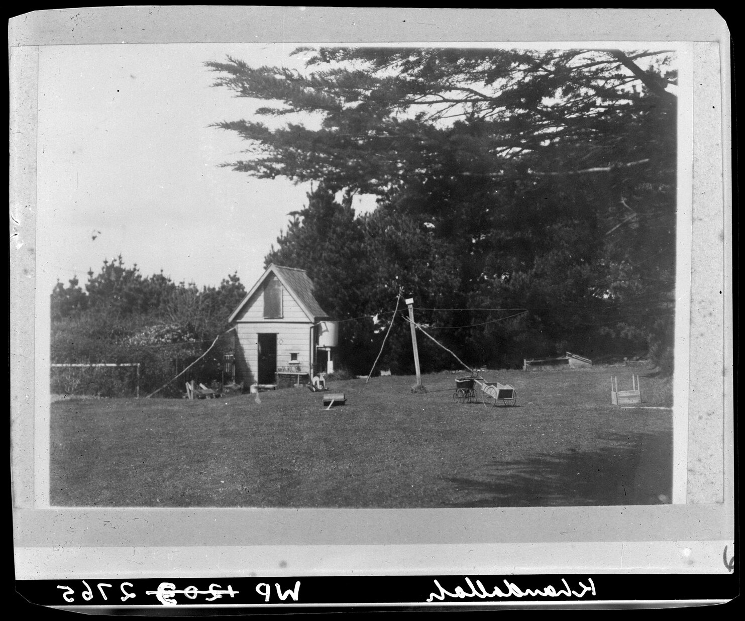 Clark Street, Khandallah - view from Crompton-Smith garden.