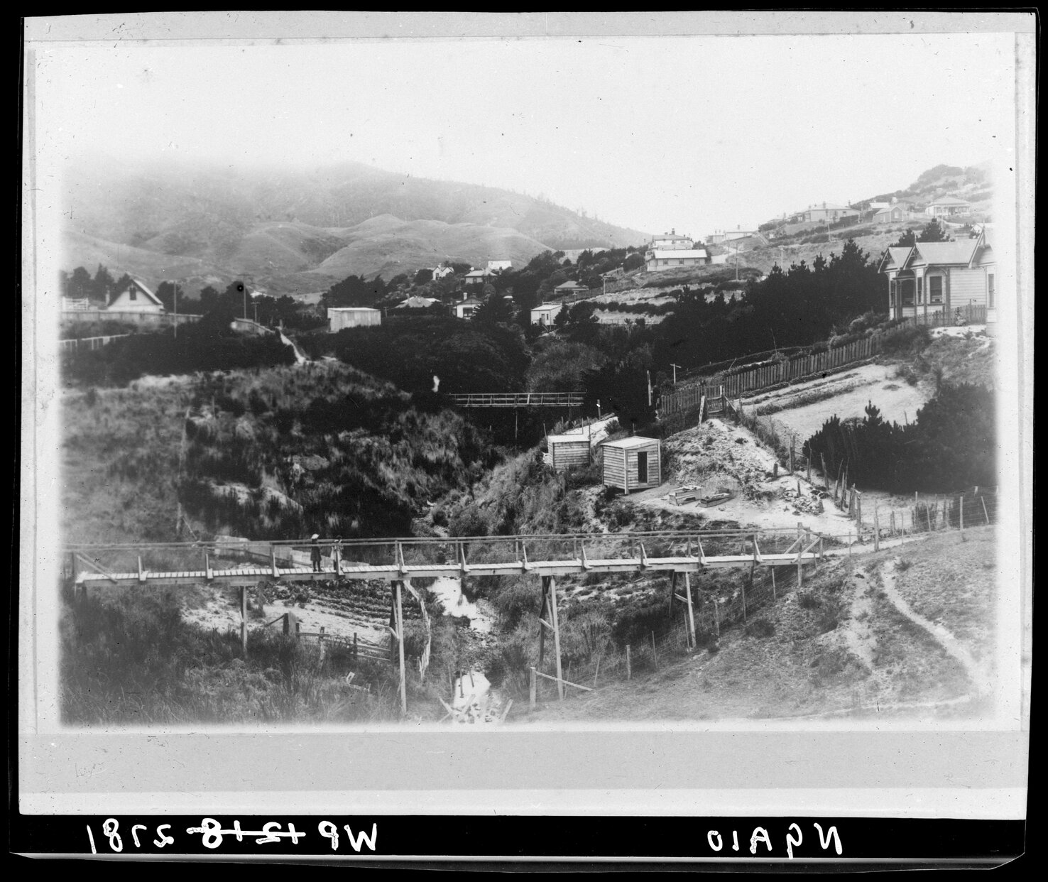 Ngaio Stream, below Waikowhai Street