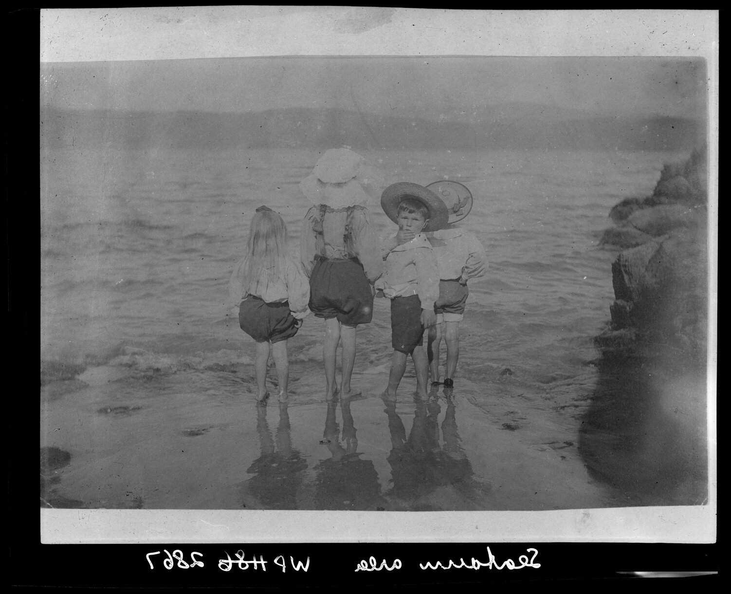 Children wading in Wellington Harbour