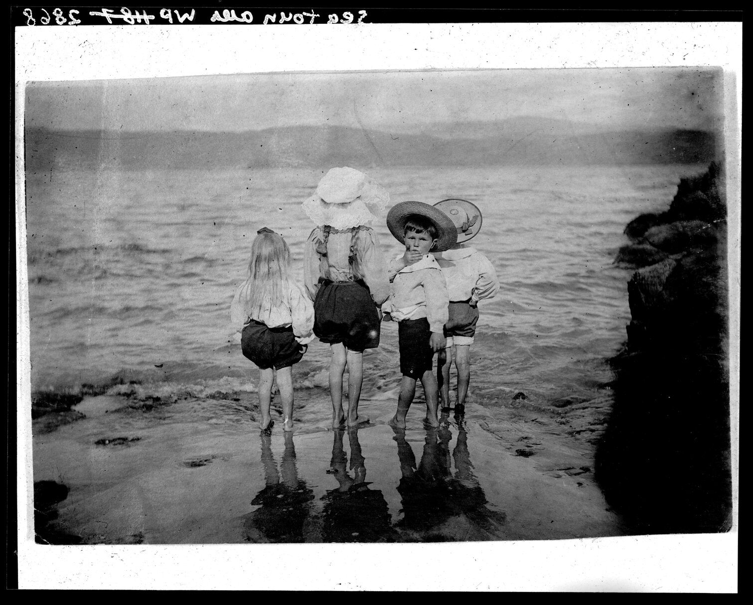 Children wading in Wellington Harbour