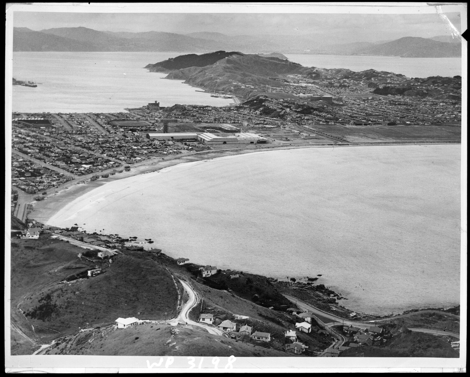 Elevated view of Lyall Bay, from Southgate