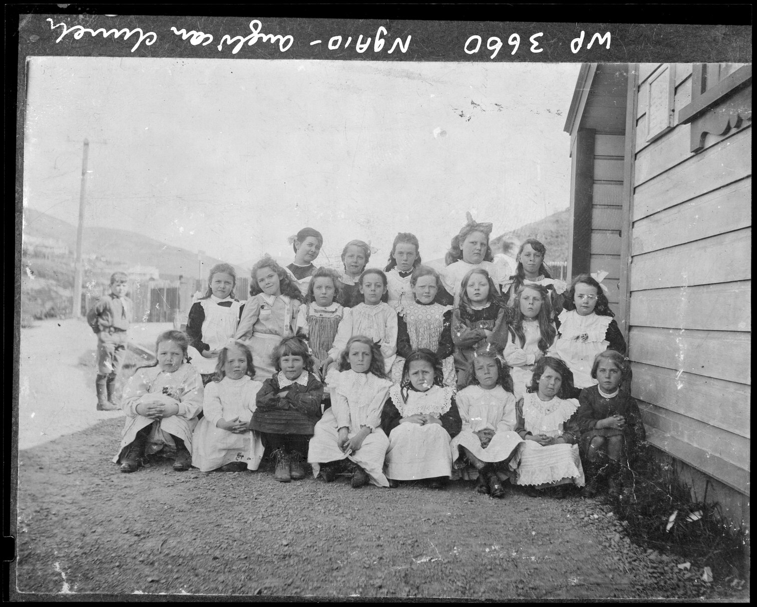Ngaio School photograph