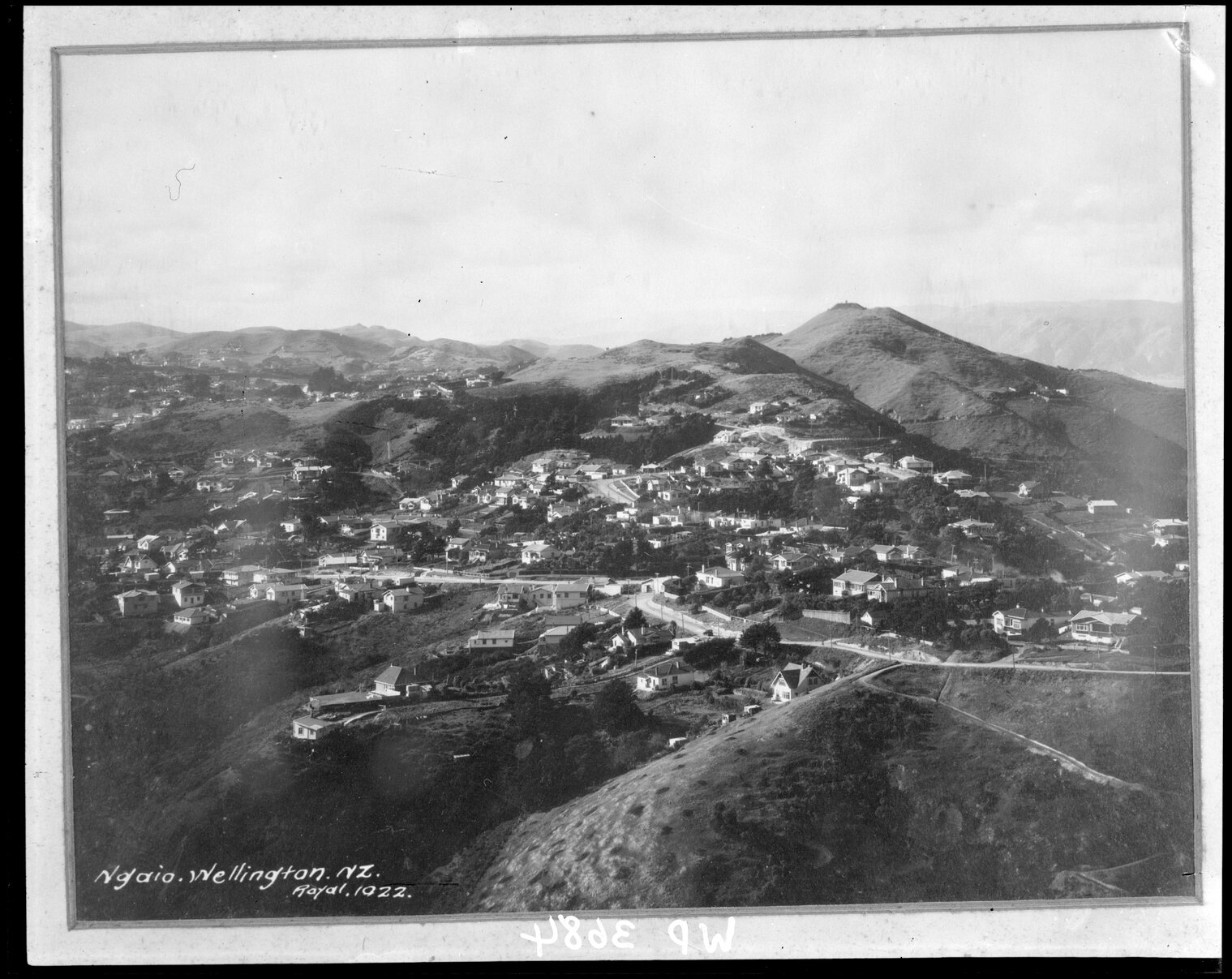 Crofton Downs, Ngaio