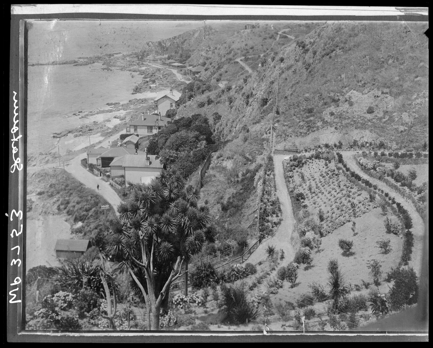 Dwellings on Karaka Bay Road, Seatoun