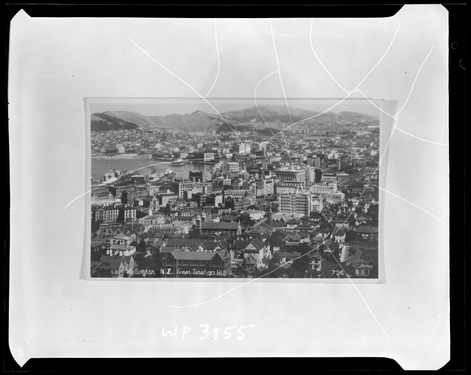 Wellington from Tinakori Hill
